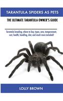 Tarantula Spiders As Pets