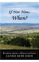 If Not Now, When?: Stories from a Singular Life
