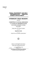 Tribal prosperity and self-determination through energy development