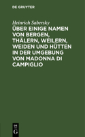 Über Einige Namen Von Bergen, Thälern, Weilern, Weiden Und Hütten in Der Umgebung Von Madonna Di Campiglio