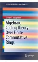 Algebraic Coding Theory Over Finite Commutative Rings: (SpringerBriefs in Mathematics)