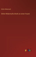 Ottilie Wildermuths Briefe an einen Freund