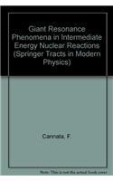 Giant Resonance Phenomena in Intermediate Energy Nuclear Reactions: (89 Springer Tracts in Modern Physics)