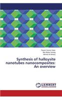 Synthesis of halloysite nanotubes nanocomposites