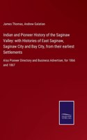 Indian and Pioneer History of the Saginaw Valley