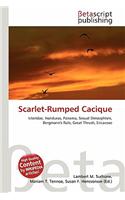 Scarlet-Rumped Cacique: (English)