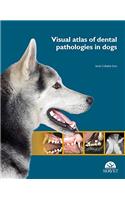 Visual Atlas of Dental Pathologies in Dogs