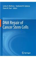 DNA Repair of Cancer Stem Cells
