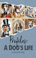 Profiles