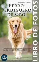 Perro Perdiguero de Oro: Libro de fotos - Más de 100 imágenes HD(Libro de Fotos - Más de 100 Imágenes HD)
