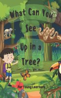 What Can You See Up in a Tree?