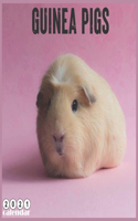 Guinea Pigs 2021 Calendar: Official Guinea Pig Wall Calendar 2021, 18 Months