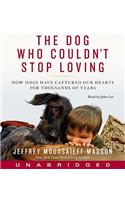 The Dog Who Couldn't Stop Loving