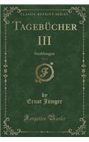 Tagebücher III, Vol. 2: Strahlungen (Classic Reprint)