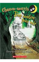 Trop Sombre Pour Voir
