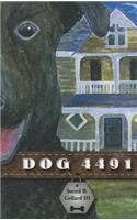 Dog 4491