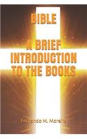 Bible a Brief Introduction to the Books