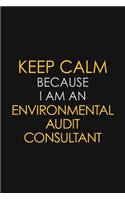 Keep Calm Because I am An Environmental Audit Consultant