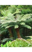 Tree Fern Notebook