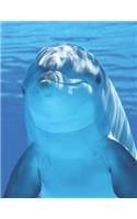 Smiling Dolphin - Blank Lined Notebook