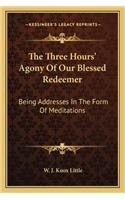 Three Hours' Agony of Our Blessed Redeemer: Being Addresses in the Form of Meditations