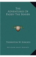Adventures Of Paddy The Beaver