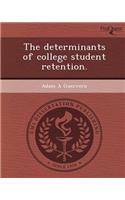 The Determinants of College Student Retention