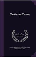 The Condor, Volume 7