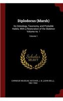 Diplodocus (Marsh)