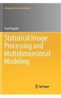 Statistical Image Processing and Multidimensional Modeling