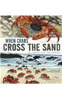Extraordinary Migrations When Crabs Cross the Sand the Christmas Island Crab Migration