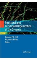 Structural and Functional Organization of the Synapse