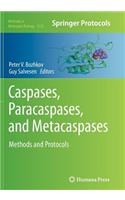 Caspases, Paracaspases, and Metacaspases