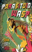 Parasitoid Wasp