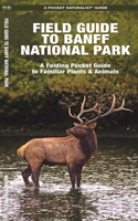 Banff National Park, Field Guide to: A Folding Pocket Guide to Familiar Species(Pocket Naturalist Guide Series)