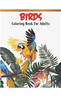 Birds Coloring Book For Adults: Bird Lovers Coloring Book with 45 Gorgeous Peacocks, Hummingbirds, Parrots, Flamingos, Robins, Eagles, Owls Bird Designs and More! - Relaxing Bird C