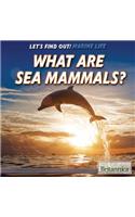 What Are Sea Mammals?