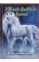 3-Minute Gratitude Journal: Change Your Life Through 3 Minutes Gratitude, 2-Year Daily Gratitude Journal/Notebook/Workbook, 365 Days of Gratitude Journal for Youth, Women, Men.