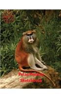 Patas Monkey Sketchbook: (Sketchbook for Girls)