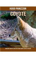Coyote