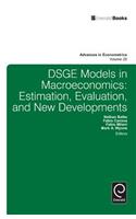 Dsge Models in Macroeconomics