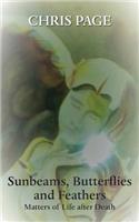 Sunbeams, Butterflies & Feathers: Matters of Life After Death