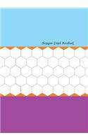 Hexagon Graph Notebook