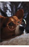 Corgi Notebook