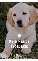 Mein Hunde Tagebuch: Für Die Schönsten Momente Mit Deinem Vierbeiner, 120 Seiten Im Tollen Pfoten-Design Für Die Schönsten Erinnerungen Die Du Mit Deinem Hund Erlebt Has