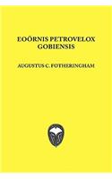 Eoornis Pterovelox Gobiensis