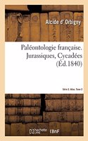 Paléontologie Française. Série 2. Jurassiques, Cycadées. Atlas. Tome 2