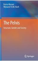 Pelvis