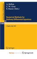 Numerical Methods for Ordinary Differential Equations