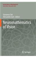 Neuromathematics of Vision